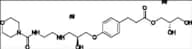 Landiolol Impurity 16