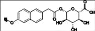 6-Methoxy-2-naphthylacetic acid (6-MNA)  glucuronide