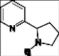 o-Nicotine