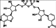 Nicotinic acid adenine dinucleotide sodium