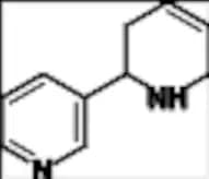 Nicotine USP Related Compound A (rac-Nicotine EP Impurity A)