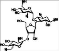 Neomycin