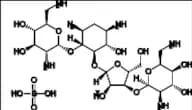 Neomycin B Trisulfate (Framycetin Trisulfate)