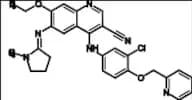 Neratinib Impurity 9