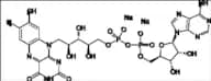 Flavin Adenine Dinucleotide Disodium Salt Hydrate