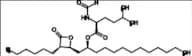 5-Methyl-L-Norleucine Orlistat Analogue