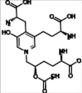 Acetoxy Lysyl Pyridinoline