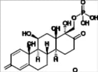 D-Homo B Derivative of Prednisolone