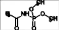 Dimethyl Acetylphosphoramidate