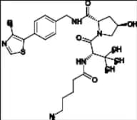 PROTACs Related Compound 2
