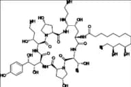 Caspofungin Impurity 21