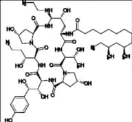 Caspofungin Impurity C