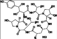 1-[(4R,5R)-4,5-Dihydroxy-L-ornithine]-Echinocandin B HCl