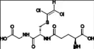 S-(1,2-Dichlorovinyl)-Glutathione