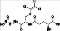 S-(1,2-Dichlorovinyl)-Glutathione-13C2-15N