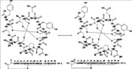 Linaclotide Impurity 5 (Mixture of Isomers)