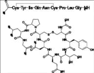 Oxytocin EP Impurity E