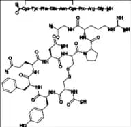 N-Acetyl Vasopressin