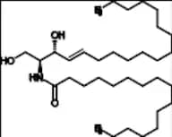 Sphingomyelin Impurity 5 (Ceramide)