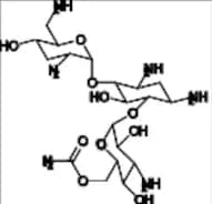 Tobramycin Impurity 3