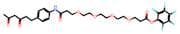Diketone-PEG4-PFP ester