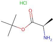 D-Alanine tert-butyl ester hydrochloride