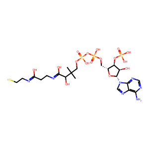 Coenzyme A Free Acid