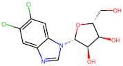 5,6-Dichlorobenzimidazole 1-β-D-ribofuranoside