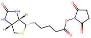 N-Hydroxysuccinimido biotin