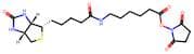 Succinimidyl-6-(biotinamido)hexanoate