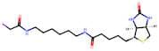 N-Iodoacetyl-N-biotinylhexylenediamine