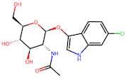 6-Chloro-3-indolyl N-acetyl-β-D-glucosaminide
