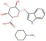 3-Indolyl β-D-glucuronide cyclohexylammonium salt
