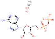 Adenosine-5'-diphosphate disodium salt dihydrate
