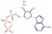 Adenosine-5'-triphosphate disodium salt