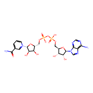 Nicotinamide adenine dinucleotide