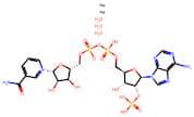Nicotinamide adenine dinucleotide phosphate, disodium salt