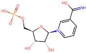 b-Nicotinamide mononucleotide
