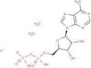 Adenosine 5'-diphosphate monopotassium salt