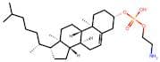 Cholesteryl phosphorylethanolamine