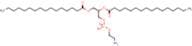 1,2-Dipalmitoyl-sn-glycero-3-phosphoethanolamine