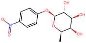 4-Nitrophenyl-β-D-fucopyranoside