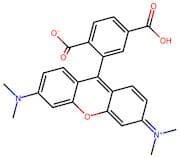 6-Carboxytetramethylrhodamine