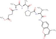 MeOSuc-Ala-Ala-Pro-Val-AMC