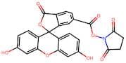 6-Carboxyfluorescein N-hydroxy succinimide ester