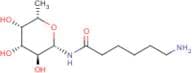 N-(ε-Aminocaproyl)-β-L-fucopyranosylamine