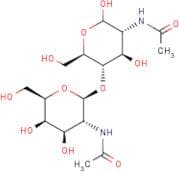 2-Acetamido-2-deoxy-4-O-(2-acetamido-2-deoxy-β-D-galactopyranosyl)-D-glucose
