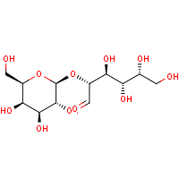2-O-β-D-Galactopyranosyl-D-galactose
