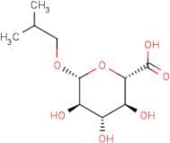 Isobutyl β-D-glucuronide