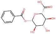 Benzoic acid-acyl-β-D-glucuronide